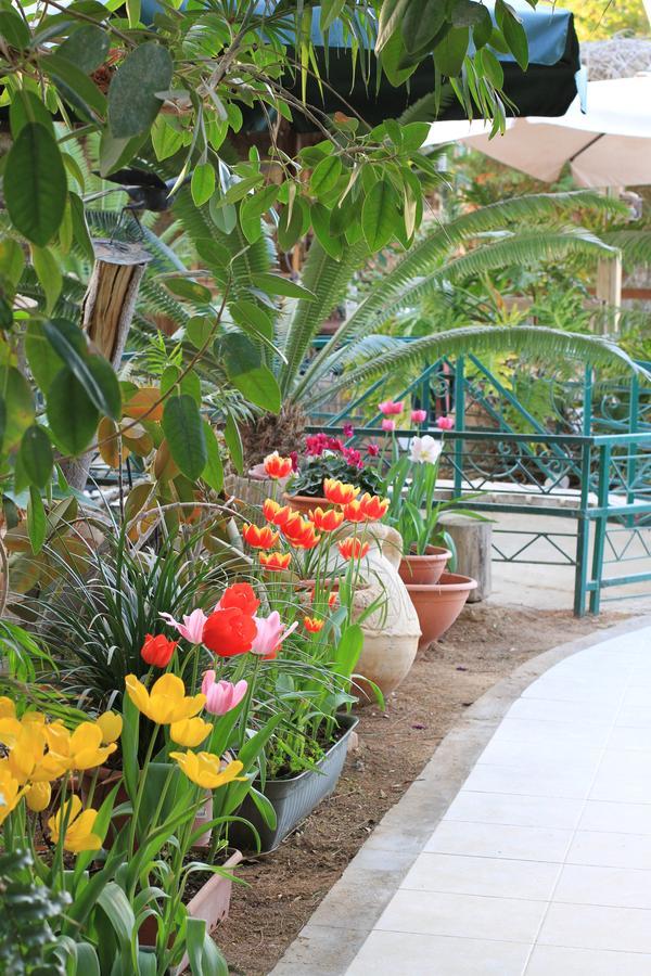 פארן צימר עידן אחר בערבה מראה חיצוני תמונה